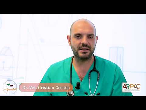 Video: Ce Este îngrijirea Preventivă?