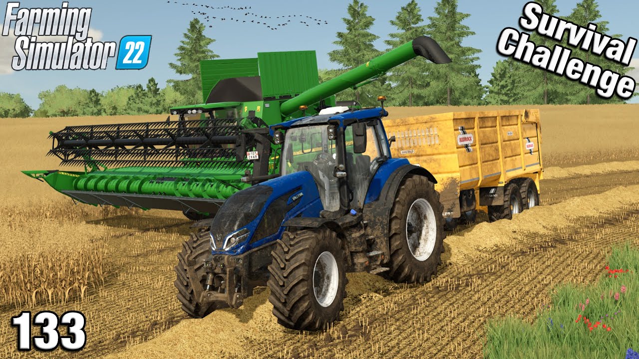 FIRST JOB FOR THE NEW COMBINE! - Survival Challenge FS22 Calm Lands Ep 133