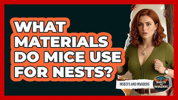 What Materials Do Mice Use For Nests?