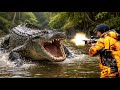 Video 4K How Do American Hunters And Farmers Deal With Million Of Wild Boar And Alligator By Gun