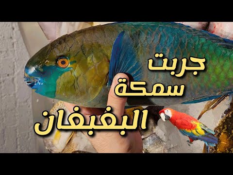 تجربة اكل سمكة البغبغان الحريد