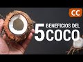 5 Beneficios del Coco | Ciencia de la Comida