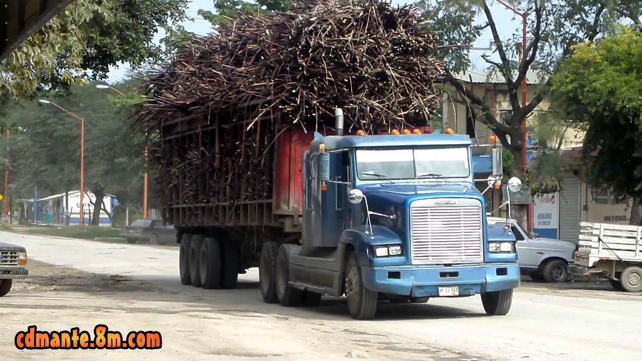 Nuevo Morelos, Tamaulipas 2015 YouTube