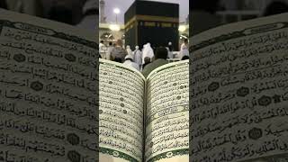 #youtubeshorts #quranictranslation #tableegh #motivation #love #rasool #whatsappstatus