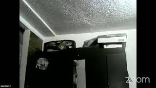 Festejo De Halloween 2021