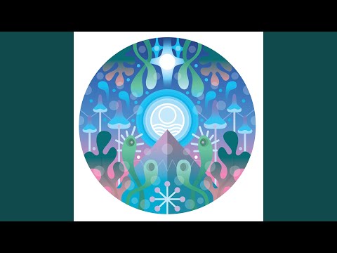 Seahawks — Sky Is You