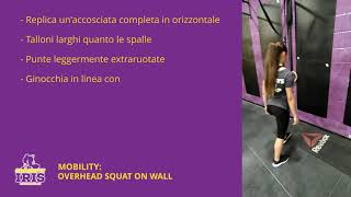 Mobility: Overhead Squat on Wall
