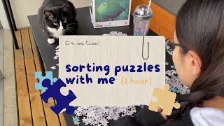 Relax & Sort Puzzles with Me | 1 Hour of Soft & Cute Music for Puzzling screenshot 3