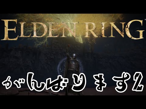 【エルデンリング】コタロウさんと壱田リタくん引き連れてがんばります