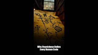 Why Voynichese Defies Every Human Code