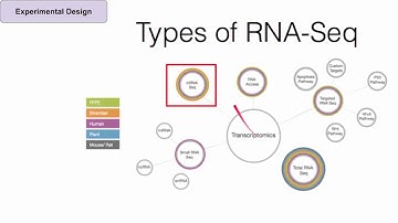 Introduction to RNA-Seq for Researchers
