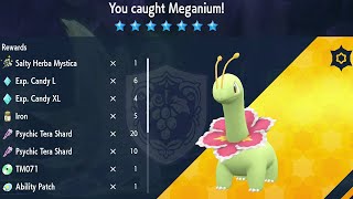 Pokémon Violet: Meganium - {Mighty Tera Raid # 21}