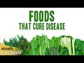 Foods that cure disease  health awareness documentary  full movie  craig mcmahon
