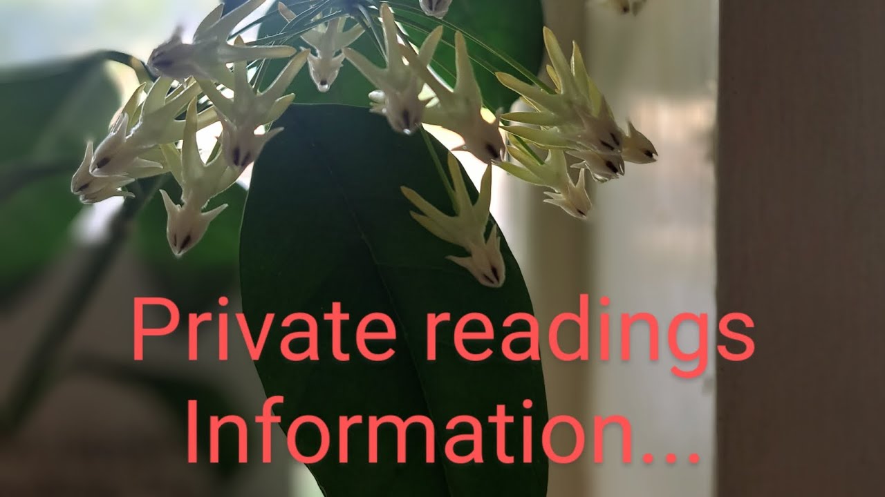 information-for-reads-please-note-i-will-never-reach-out-to-anyone