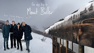 One day trip to Mt. Buller from City of Melbourne | Price including