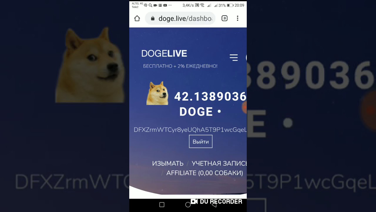 Doge live Безопасный Кошелек Dogecoin И Платформа Облачного Майнинга DOGE