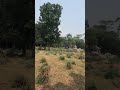 Beautiful green village #shorts #shortvideo