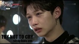 try not to cry stray kids ver.