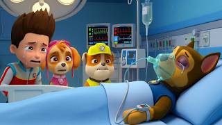 ¡OMG!! Chase, no nos dejes | PAw PAtrol en Español | Rainbow 3