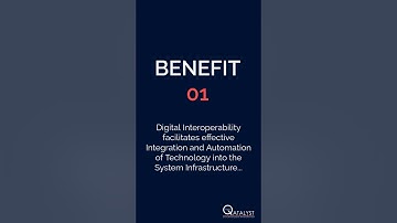 What is Digital Interoperability?