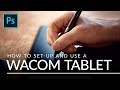 How to Set Up and Use a Wacom Tablet