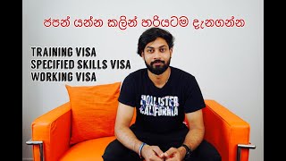 Training visa, specified skills visa, working visa.