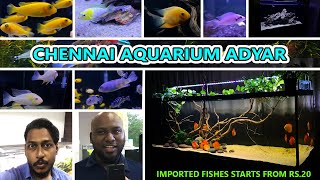 CHENNAI AQUARIUM ADYAR | BEST AQUARIUM IN CHENNAI | NEWLY OPENED | STORE REVIEW With Mr. Francis