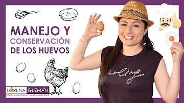 ¿Cuál es la forma más segura de conservar los huevos enteros frescos?