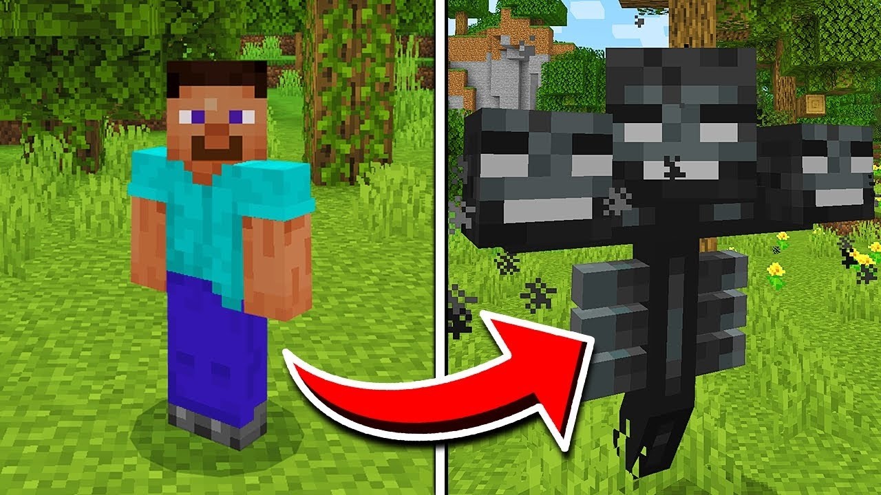 Minecraft; aber ich weiß nicht welche kreatur ich bin...