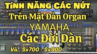 Tính Năng Các Nút Trên Các Loại Đàn Organ Yamaha | Cụ Thể Trên Đàn Sx700 - Sx900 | Chi Tiết -Dễ Hiểu