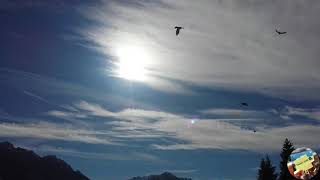 Cielo Larzonei E Verso Belvedere - 4 Febbraio 2021