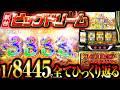 【新台 ビッグドリーム】1/8445で全てひっくり返る爆裂台【パチスロ 実践】【ペカるTVZ】