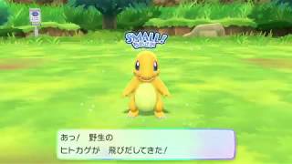 ピカブイ 色違いポケモン リザードンで空を飛ぶ ポケモン Youtube