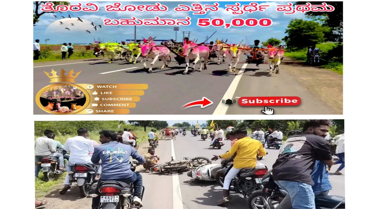 👑ತೊರವಿ ಜೋಡು ಎತ್ತಿನ ಸ್ಪರ್ಧೆ ಪ್ರಥಮ್ ಬಹುಮನ್ 50,000💥🐴