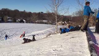Swanson Sledding Jan 2016
