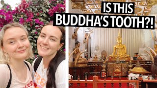 Details I COULDN'T BELIEVE THIS | Kandy Botanical Gardens + Temple Of The Tooth News