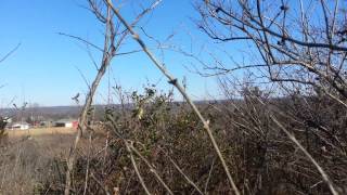 A view from top of an ancient burial mound.