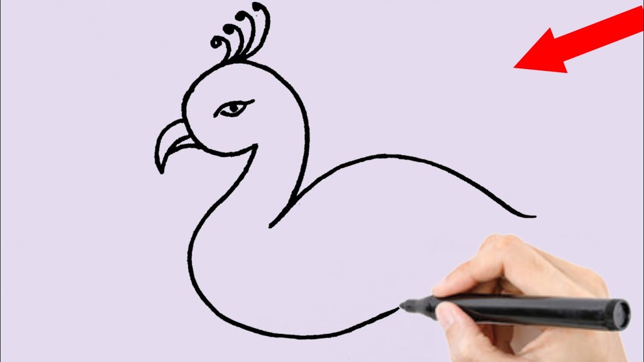 Peacock 🦚 Drawing For Beginners/How To Draw Peacock,/Peacock Drawing ...