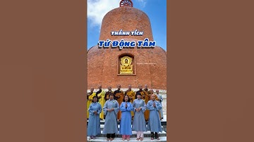 Thiền Viện Trúc Lâm Chánh Giác - Thánh Tích Tứ Động Tâm #thienvientruclamchanhgiac #tiềngiang