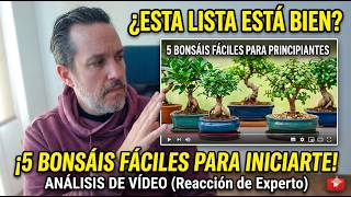 5 Bonsáis fáciles de cuidar para principiantes