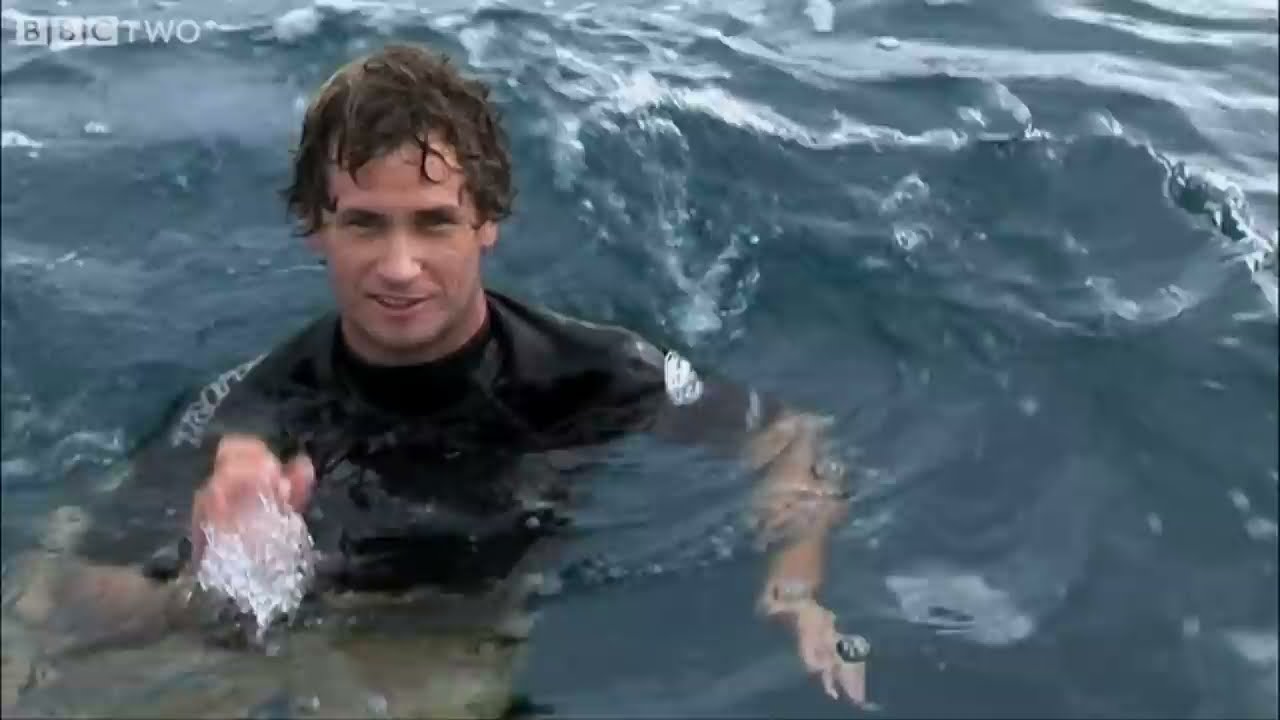 Video till Slow motion-surfing