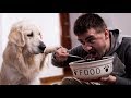 Am I Eating Dog Food? - My Dog Reacts to How I Eat His Food!