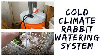 How To Set Up Rabbit Watering System That Does Not Freeze