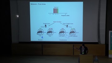 Deep Learning and the Brain 2019 – Prof. Naftali Tishby
