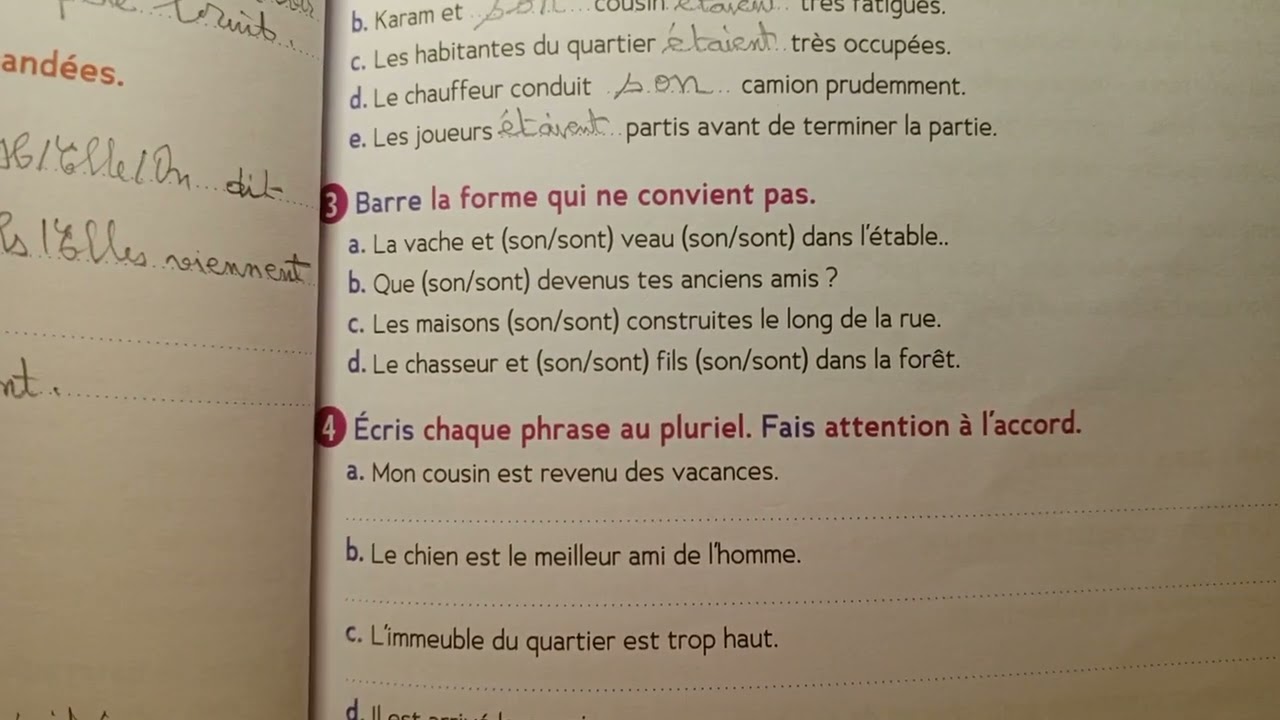 CE2 : Orthographe : 
