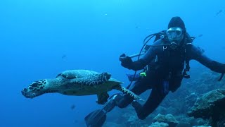 The Blue Paradox: Fisk Johnson's Perspective