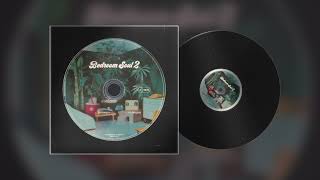 Soul Samples - Bedroom Soul Vol. 2