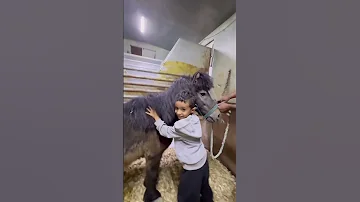 ٢٤ يونيو ٢٠٢٣ 