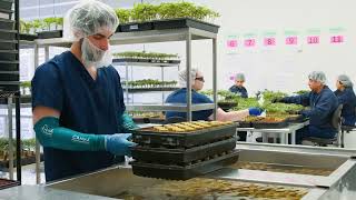 CANNA Canada: Dare to Grow | Research, Innovation & Real Grower Stories