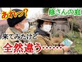 冬の庭はこれで大丈夫？初心者が知りたい冬のお庭見せます【個人庭】【ガーデニング】【園芸】